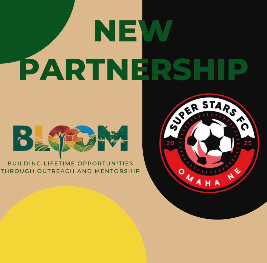 BLOOM Partnership